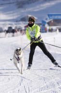 Lenk 2013